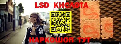 индика Ирбит