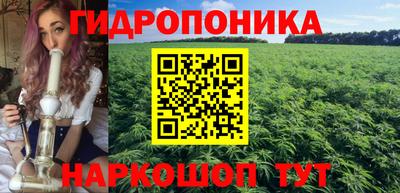 индика Ирбит