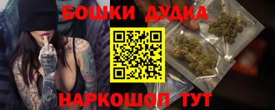 индика Ирбит