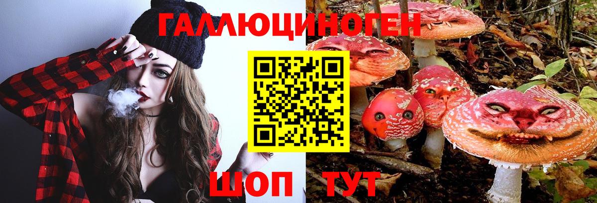 Луховицы  Галлюциногенные грибы Psilocybe  Вход с VPN  Псилоцибиновые грибы Psilocybe 